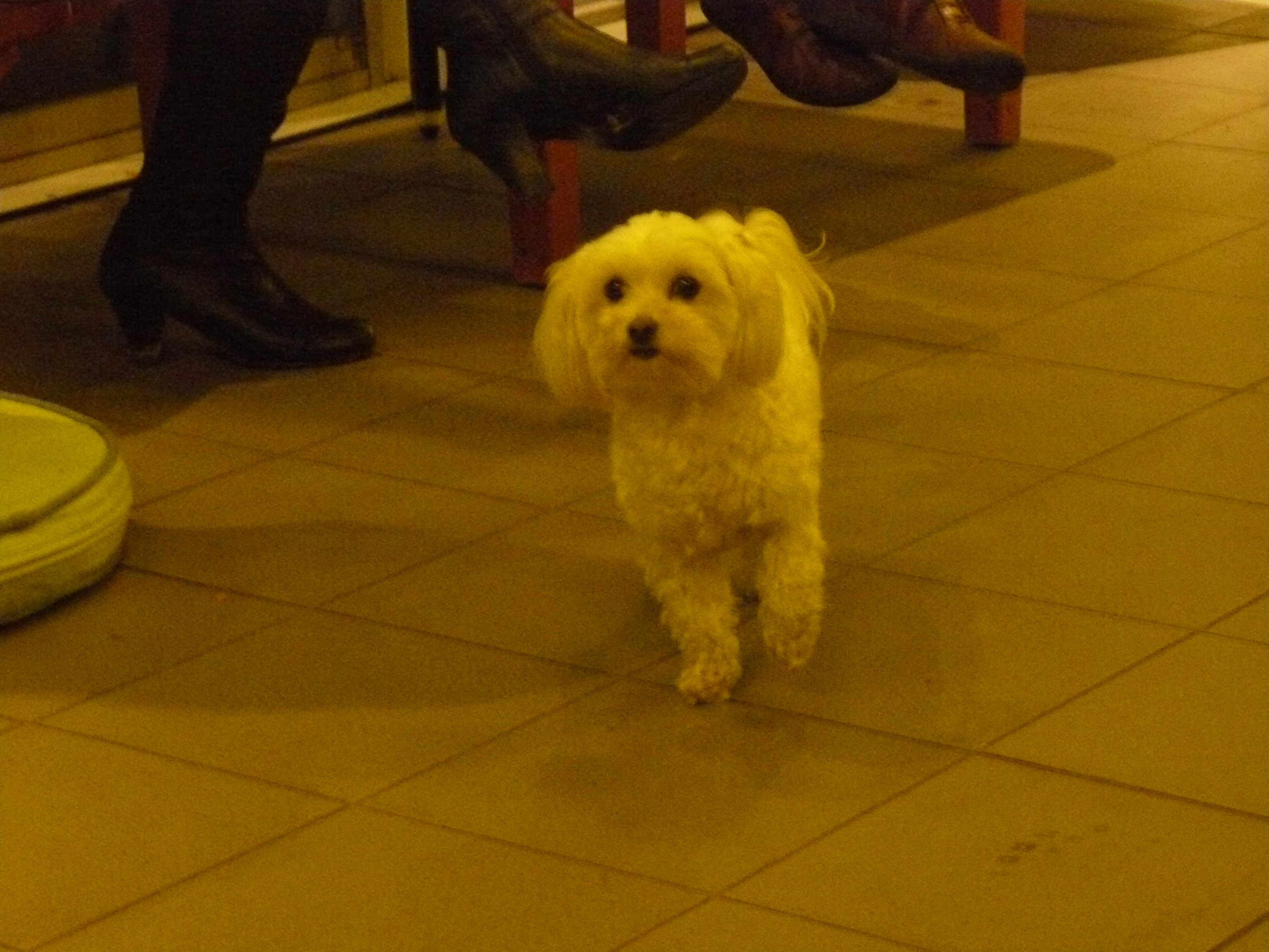 NWK 2012 059.jpg